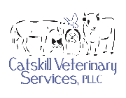 Catskill Veterinary Services Logo